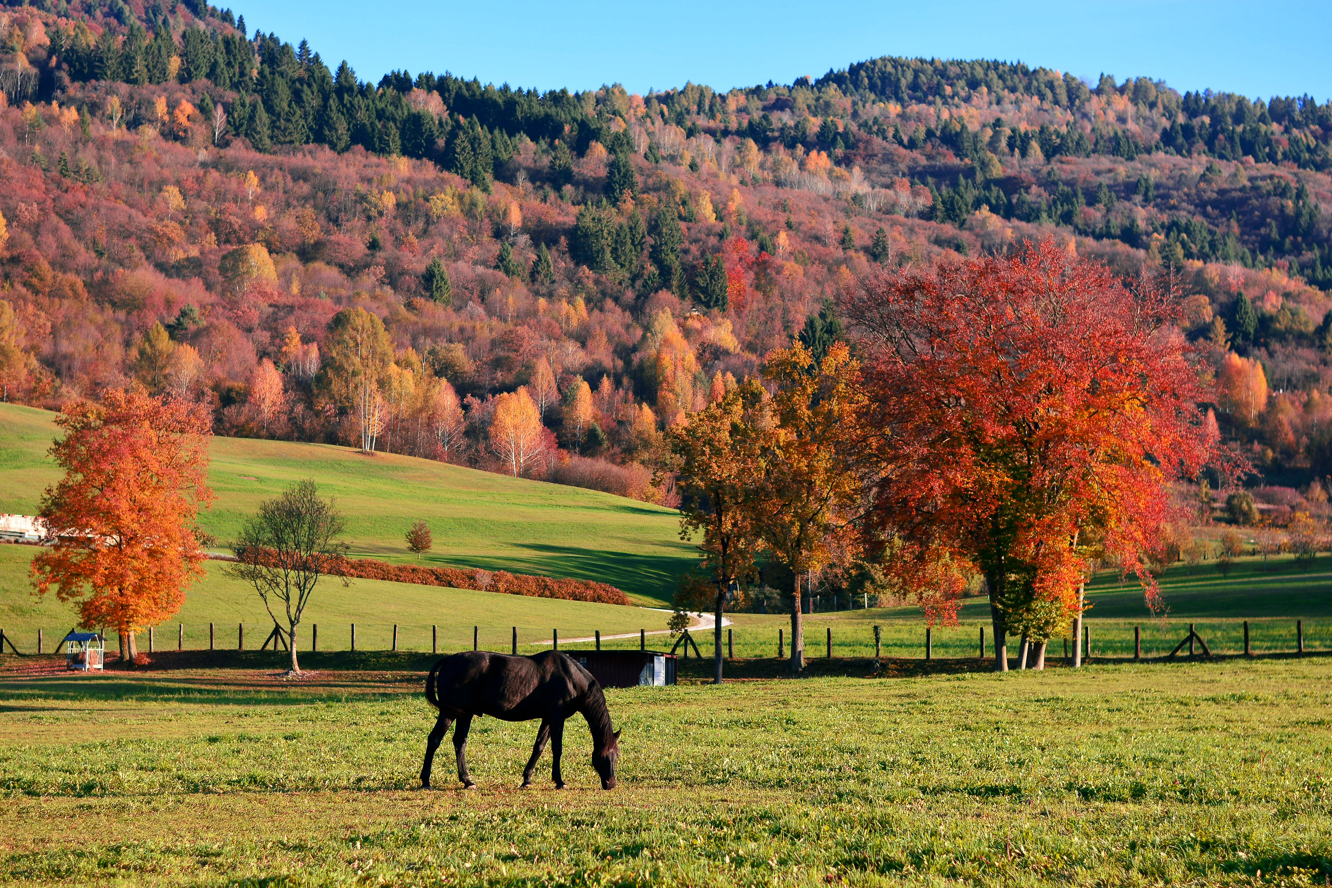 Your Fall Horse Farm To-Do Guide