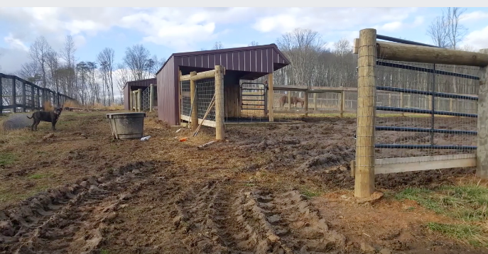 Rhonda Wright’s Mega Mud - Turned Oasis!