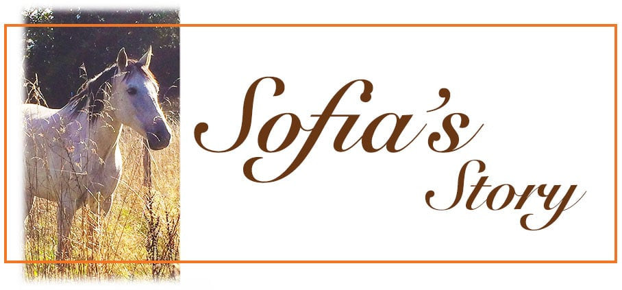 A Hospital Visit for Sofia the Rescue Horse