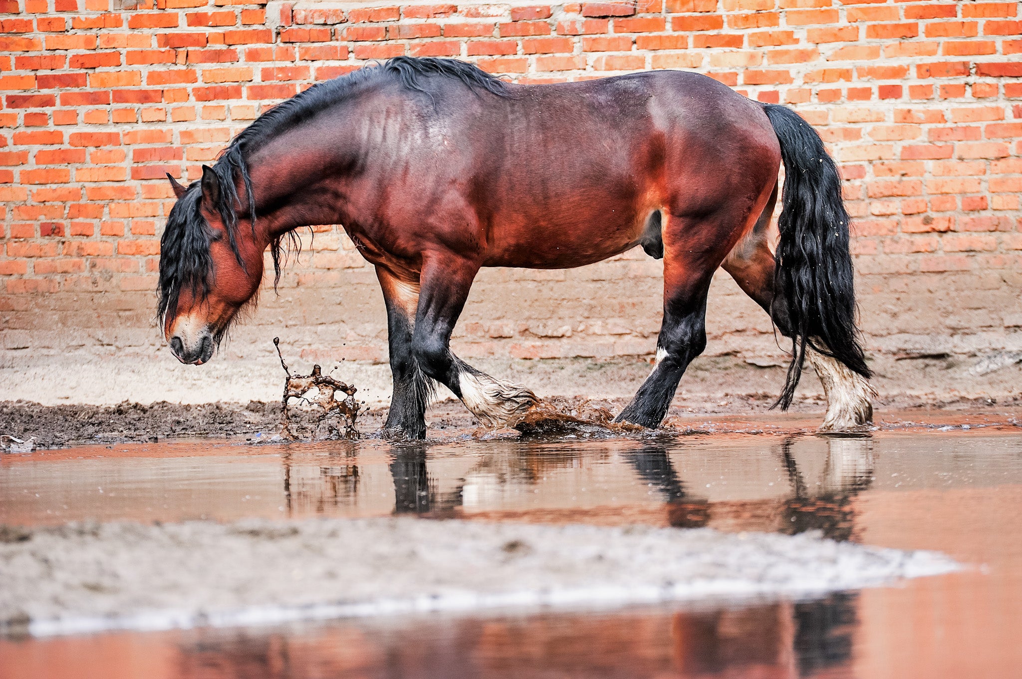 flooding in your barn