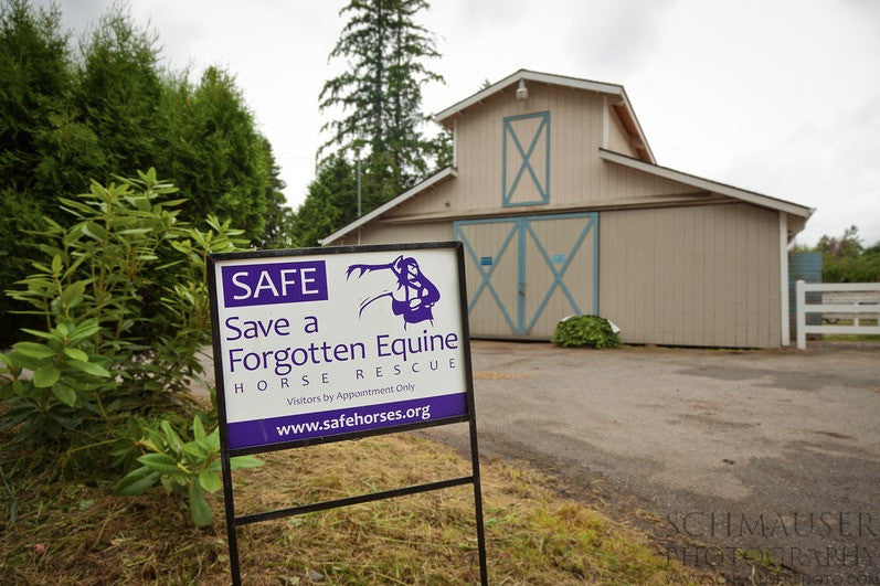 SAFE Horse Rescue's Lighthoof Project