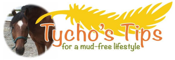 How to Improve Your Horse's Well-Being with Slow Feeding