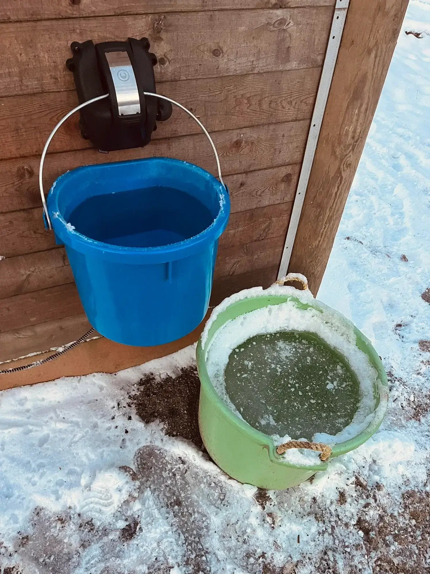 6 Ways to Get Your Horse to Drink More Water This Winter