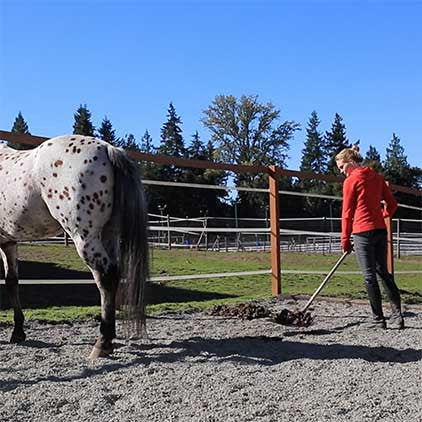 Lighthoof Equine Mud Management Panel -  - 11