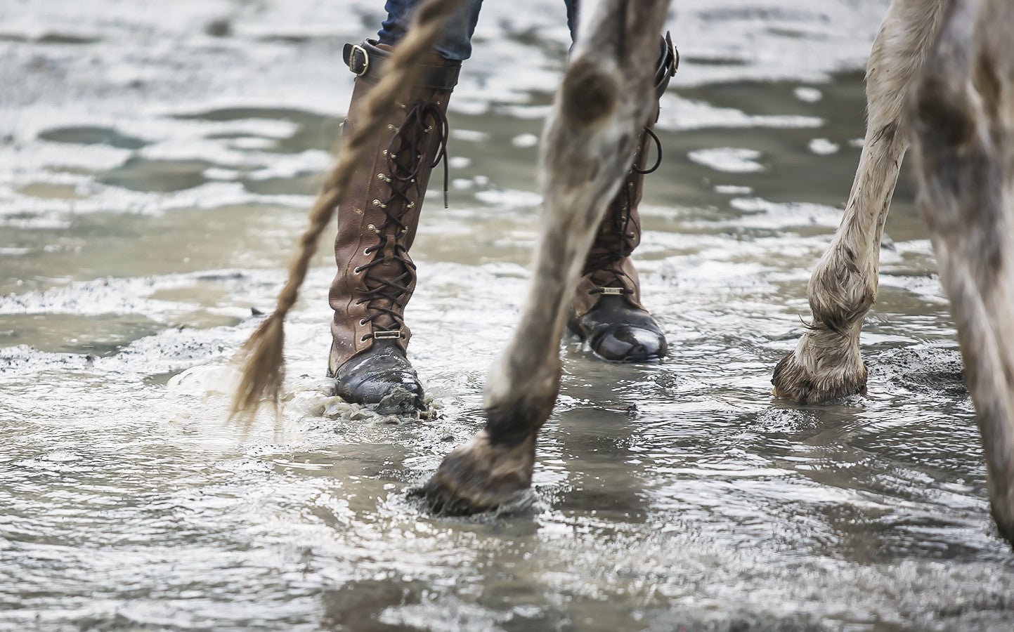 Horse Paddock Drainage: Stability Is More Important than Permeability
