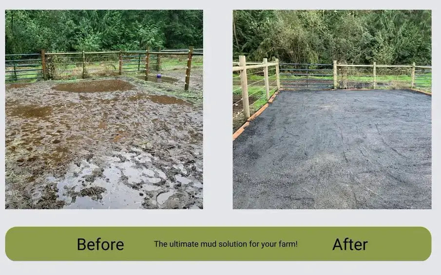 Best Ways to Fix Horse Paddock Mud