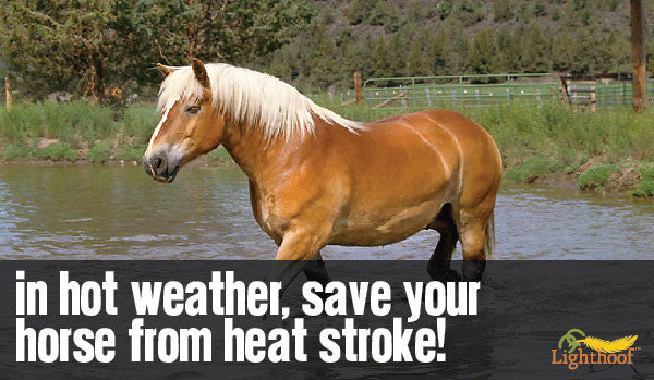 Heat Stroke: Prevention, Detection, and Treatment