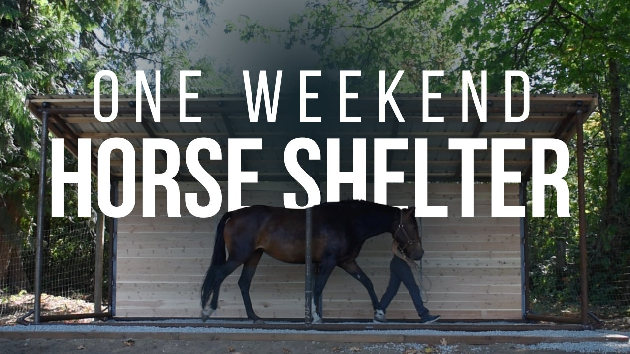 Building a Mud‑Free Horse Shelter in One Weekend