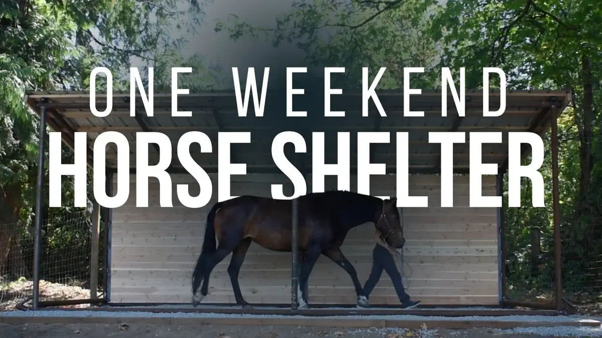 Building a Mud‑Free Horse Shelter in One Weekend
