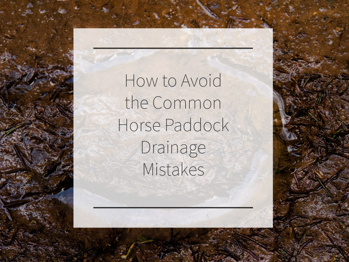 How to Avoid the Two Biggest Paddock Drainage Misconceptions