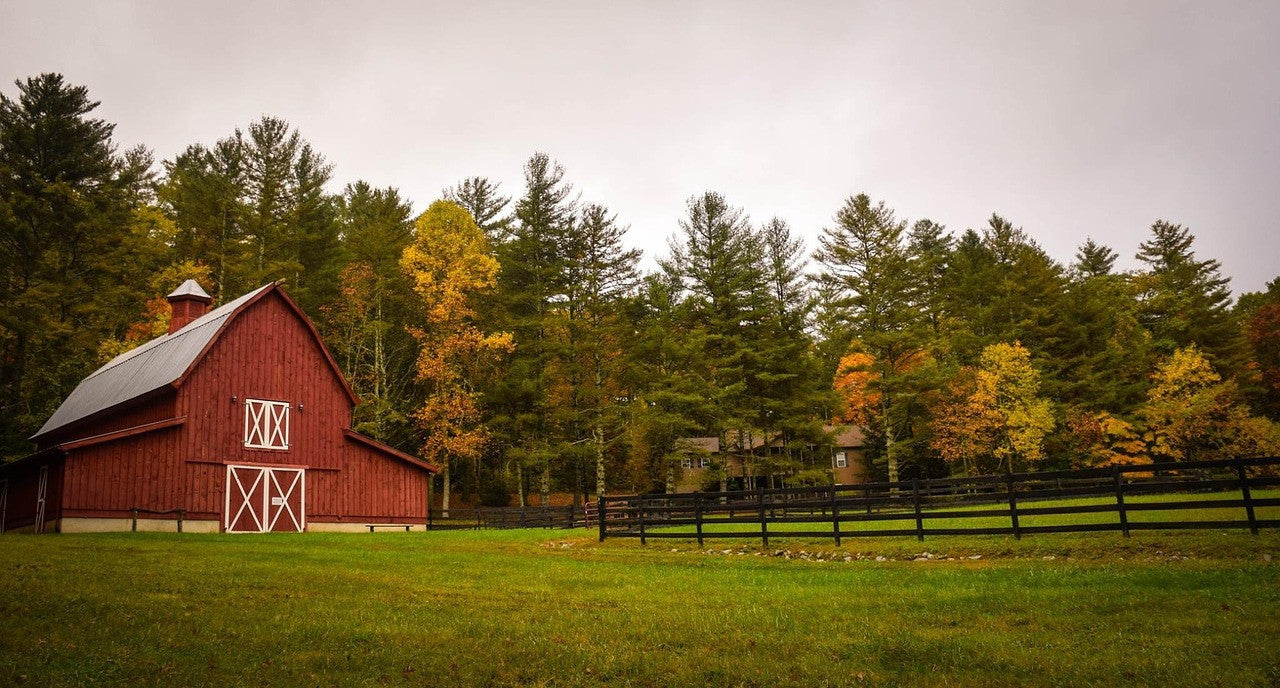 Easy Winterizing Tips for Your Barn That Will Save You Many Headaches