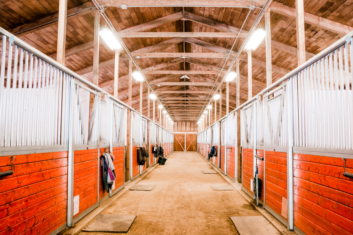 5 Top Renovation Projects to Plan for Your Horse Barn This Spring