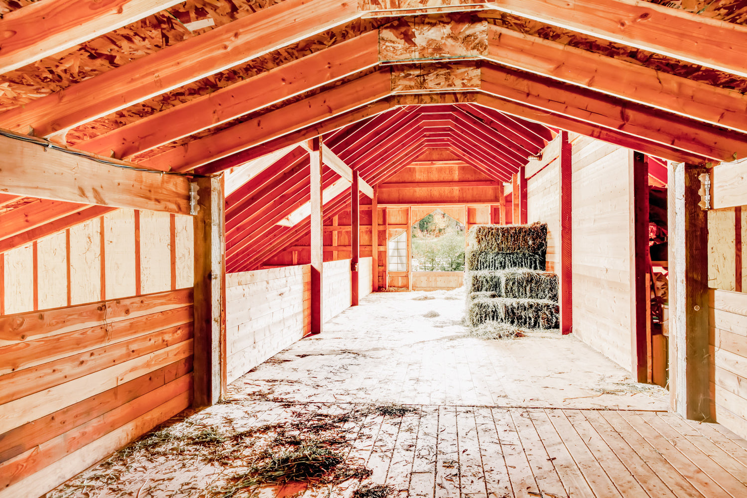 Spring Cleaning Your Barn for Safety