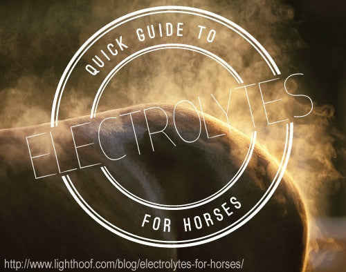 Quick Guide to Electrolytes for Horses