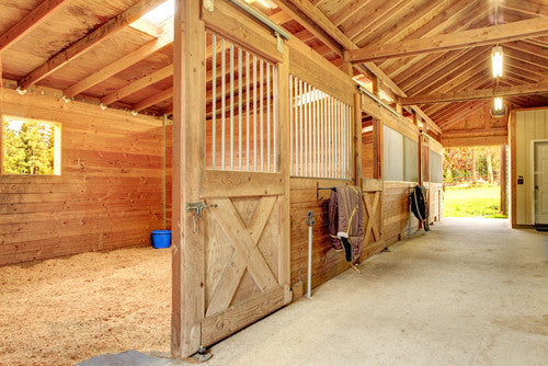 Living conditions for optimal horse health