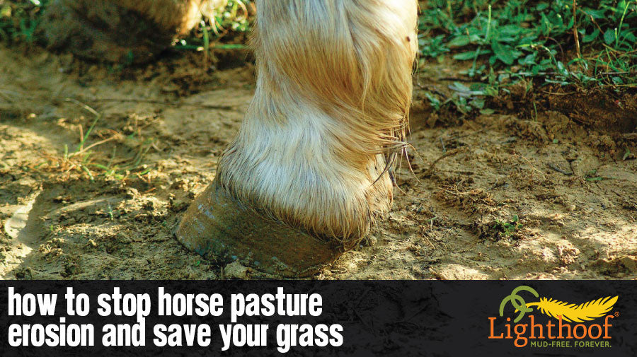How to Prevent Erosion in Horse Pasture Management