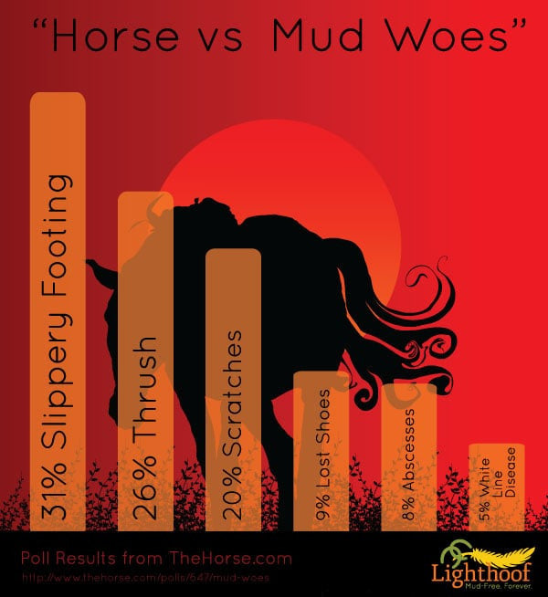 Your Biggest Muddy Paddock Woes and How to Fix Them