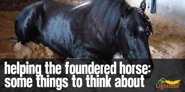 Living with Laminitis: Practical Ways to Prevent, Protect and Recover