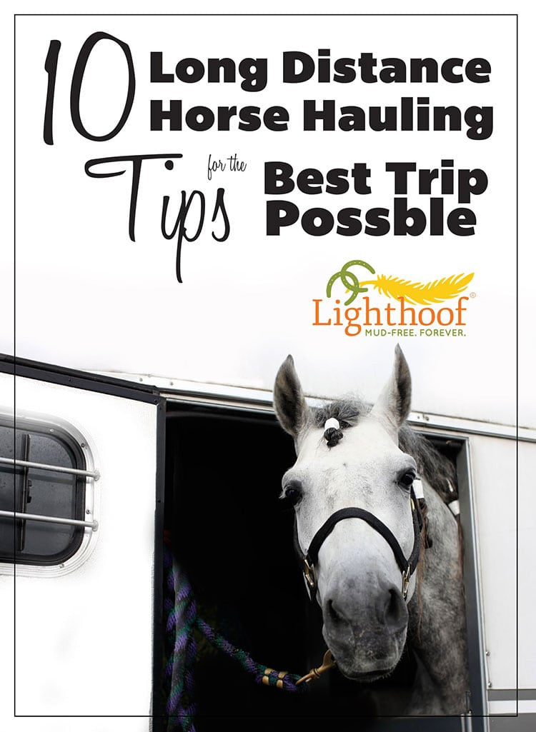 10 Long Distance Horse Hauling Tips for the Best Possible Trip