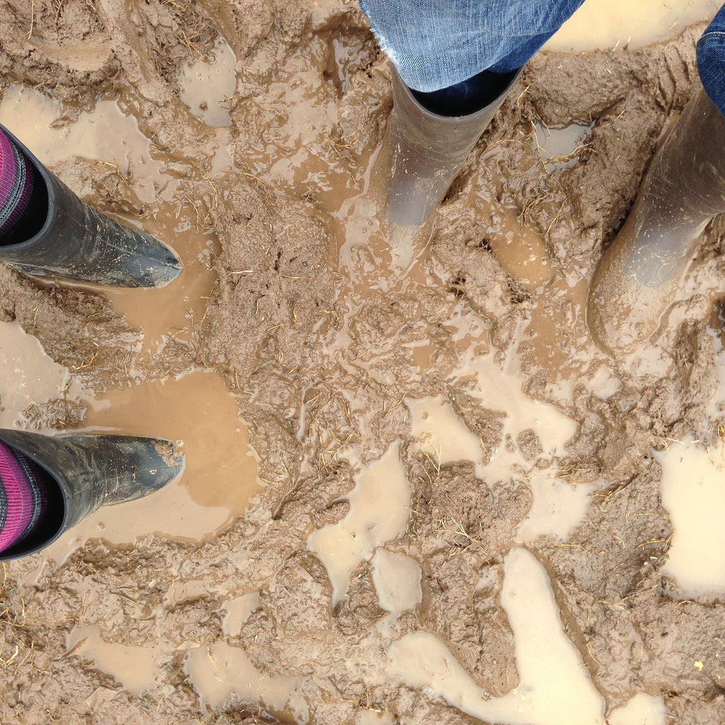 Mud FAQ Continued - Why Ground Stability is as Important as Drainage