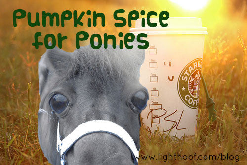 3 Pumpkin Horse Treat Recipes That Your Horse Will Love