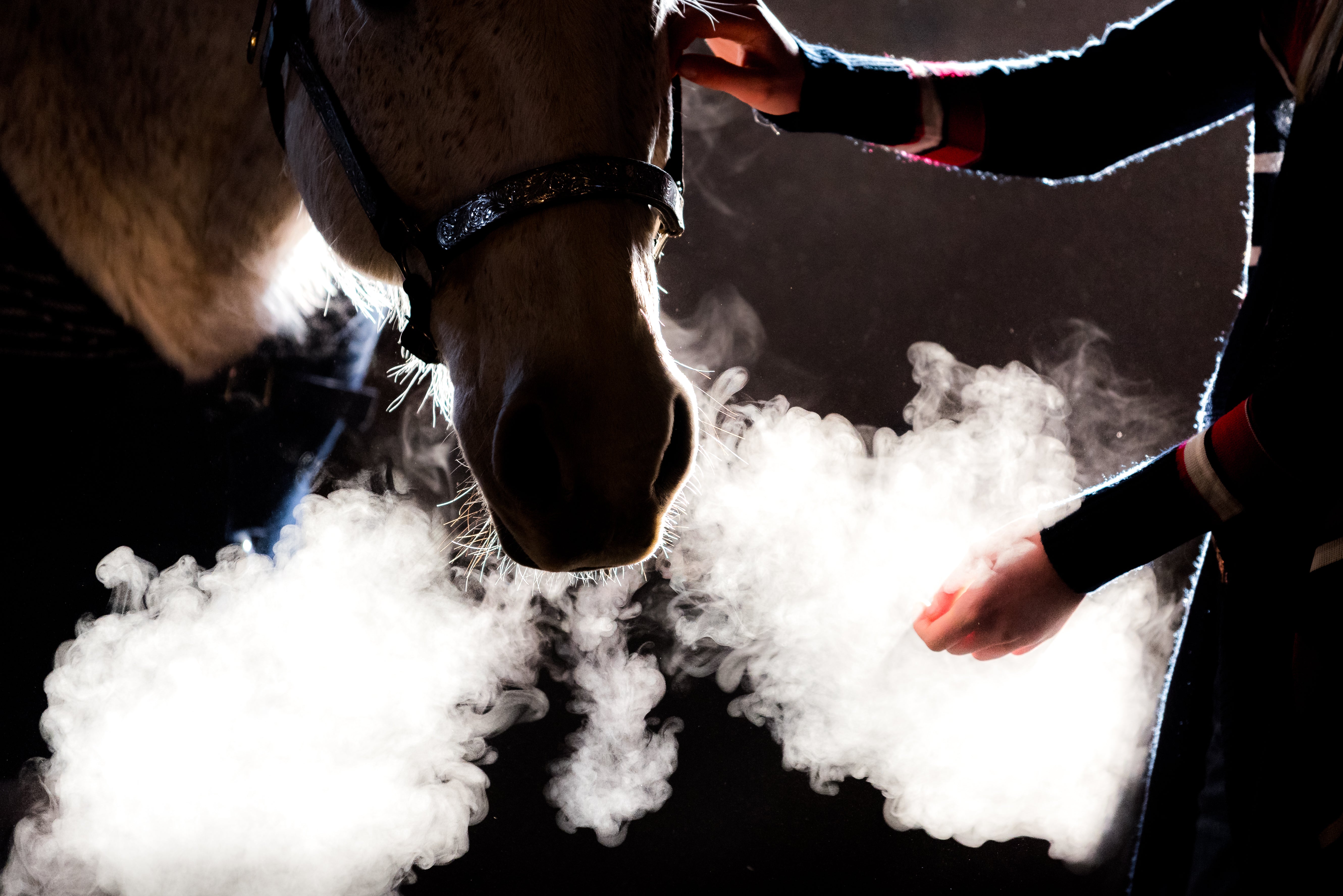 Strategies to Keep Your Horse Breathing Well This Winter