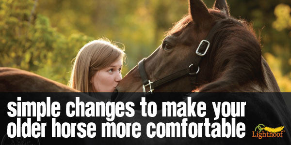 Is Your Senior Horse Arthritic? How to Maximize Her Comfort with a Few Simple Changes
