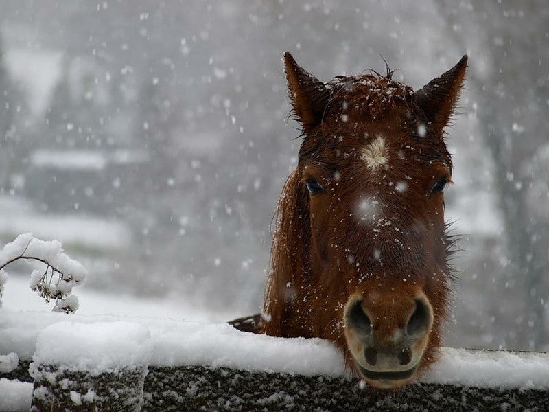 Too Cold to Ride? 5 Crucial Things to Do Instead