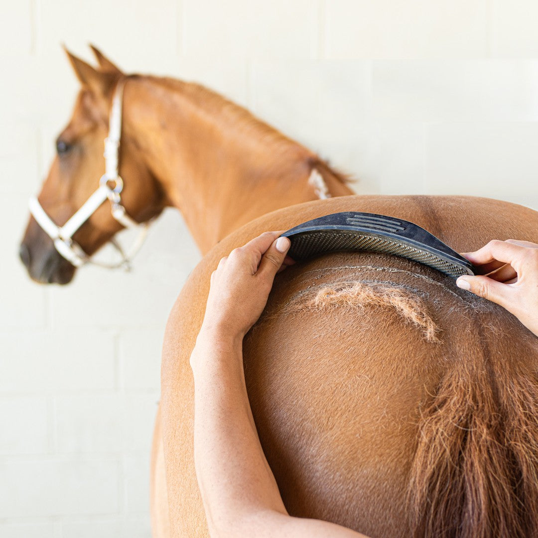 4 Tips to Survive Shedding Season