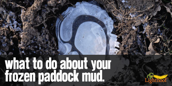 Treacherous Mud Peaks: The Pitfalls of Frozen Horse Paddock Mud