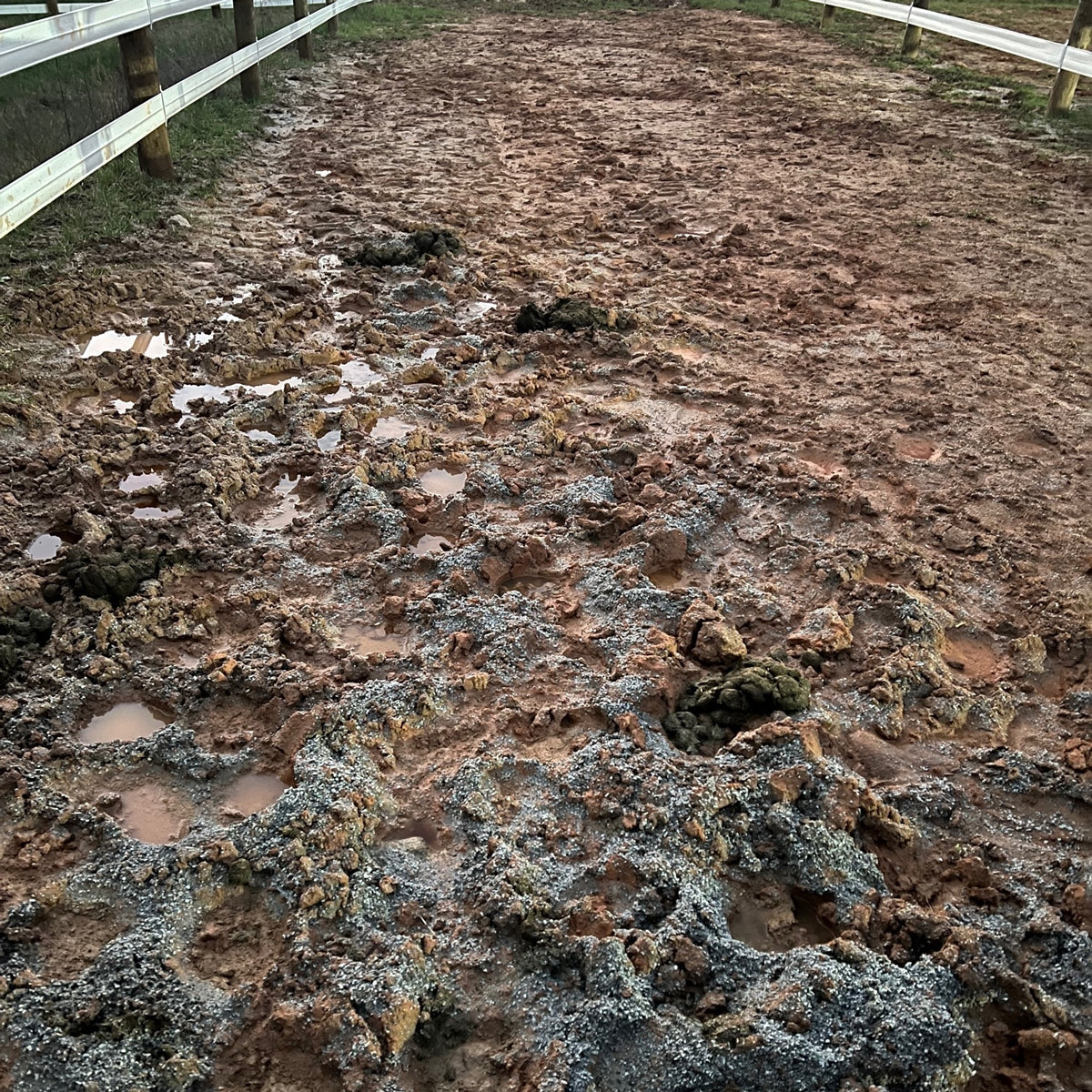 Paddock mud before Lighthoof installation